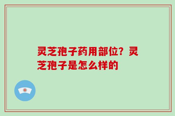 灵芝孢子药用部位？灵芝孢子是怎么样的