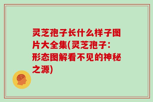 灵芝孢子长什么样子图片大全集(灵芝孢子：形态图解看不见的神秘之源)