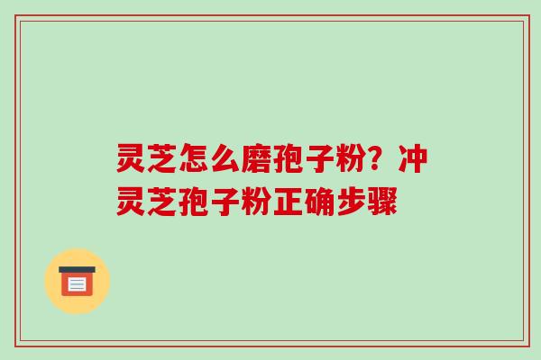 灵芝怎么磨孢子粉？冲灵芝孢子粉正确步骤