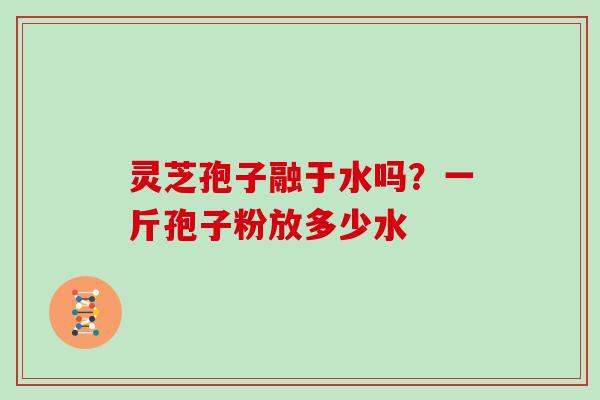 灵芝孢子融于水吗?一斤孢子粉放多少水