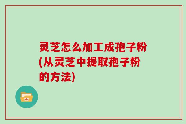 灵芝怎么加工成孢子粉(从灵芝中提取孢子粉的方法)