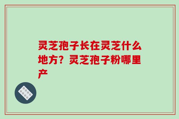 灵芝孢子长在灵芝什么地方？灵芝孢子粉哪里产