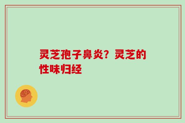 灵芝孢子鼻炎?灵芝的性味归经