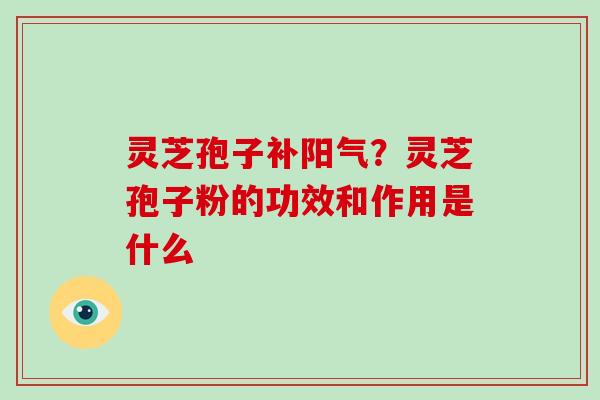 灵芝孢子补阳气?灵芝孢子粉的功效和作用是什么