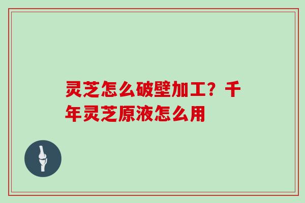 灵芝怎么破壁加工?千年灵芝原液怎么用