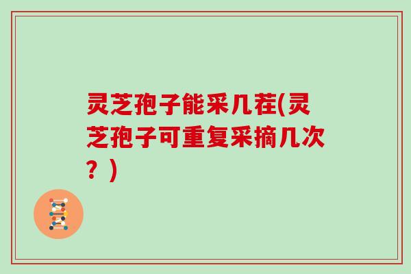 灵芝孢子能采几茬(灵芝孢子可重复采摘几次?)