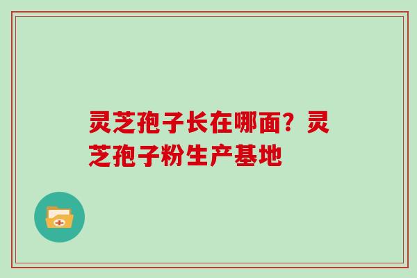 灵芝孢子长在哪面?灵芝孢子粉生产基地