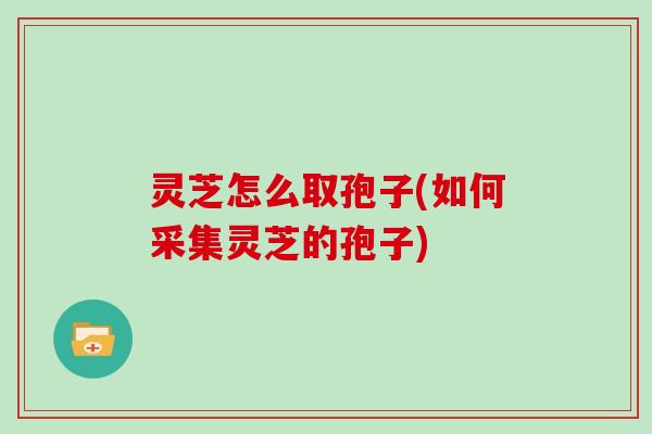 灵芝怎么取孢子(如何采集灵芝的孢子)