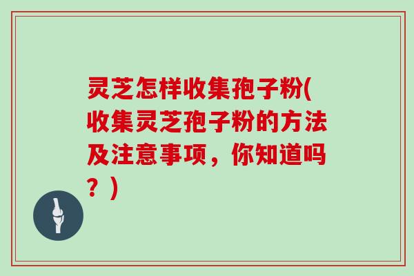 灵芝怎样收集孢子粉(收集灵芝孢子粉的方法及注意事项，你知道吗？)