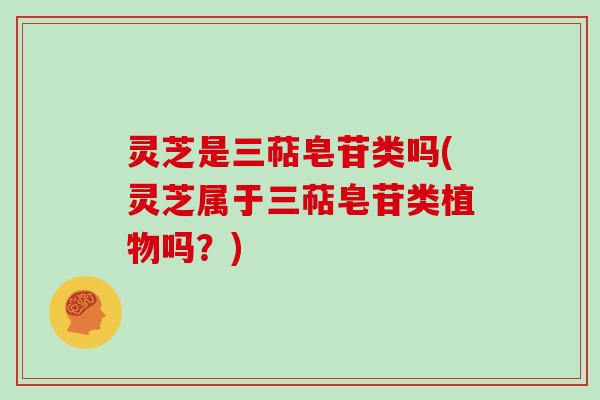 灵芝是三萜皂苷类吗(灵芝属于三萜皂苷类植物吗?)
