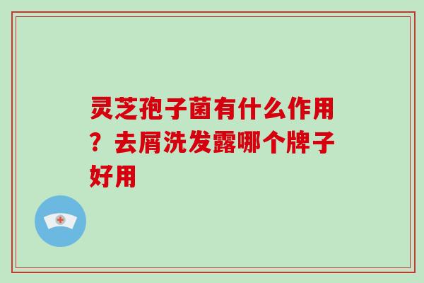 灵芝孢子菌有什么作用?去屑洗发露哪个牌子好用
