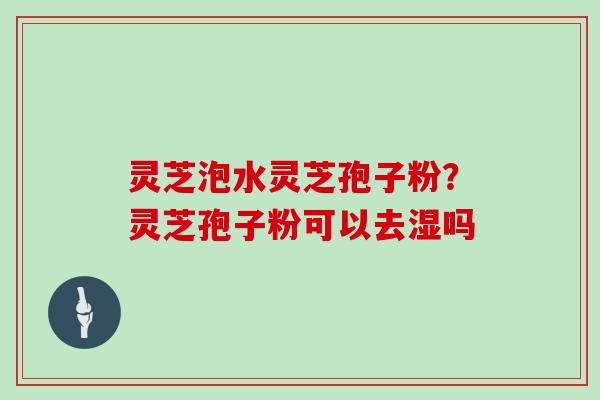 灵芝泡水灵芝孢子粉?灵芝孢子粉可以去湿吗