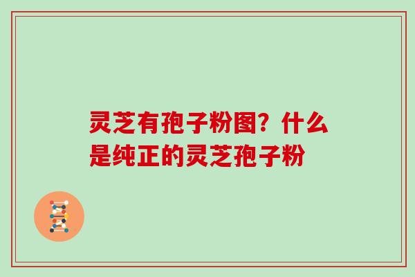 灵芝有孢子粉图？什么是纯正的灵芝孢子粉