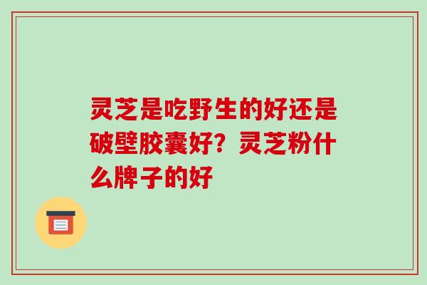 灵芝是吃野生的好还是破壁胶囊好？灵芝粉什么牌子的好