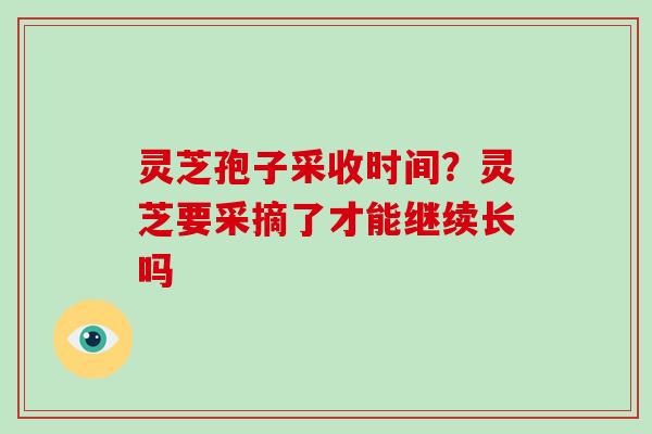 灵芝孢子采收时间?灵芝要采摘了才能继续长吗