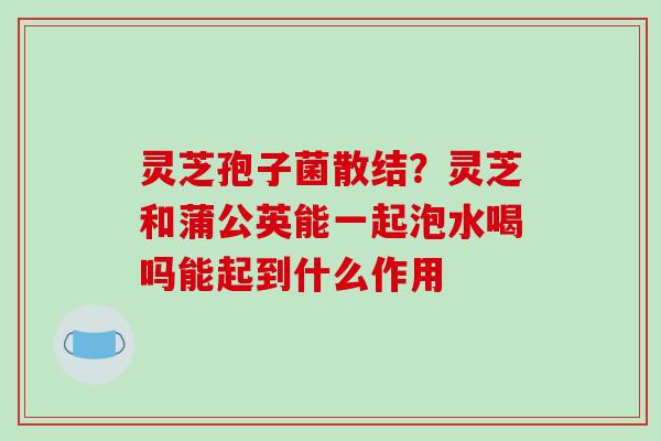 灵芝孢子菌散结?灵芝和蒲公英能一起泡水喝吗能起到什么作用