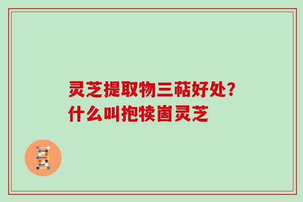 灵芝提取物三萜好处？什么叫抱犊崮灵芝