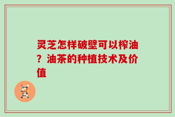 灵芝怎样破壁可以榨油?油茶的种植技术及价值
