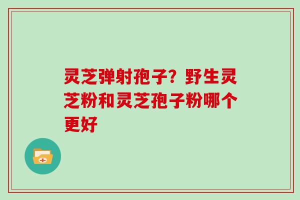 灵芝弹射孢子?野生灵芝粉和灵芝孢子粉哪个更好