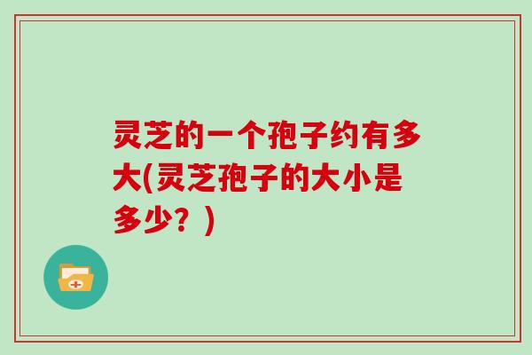 灵芝的一个孢子约有多大(灵芝孢子的大小是多少?)