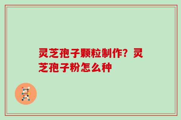 灵芝孢子颗粒制作？灵芝孢子粉怎么种