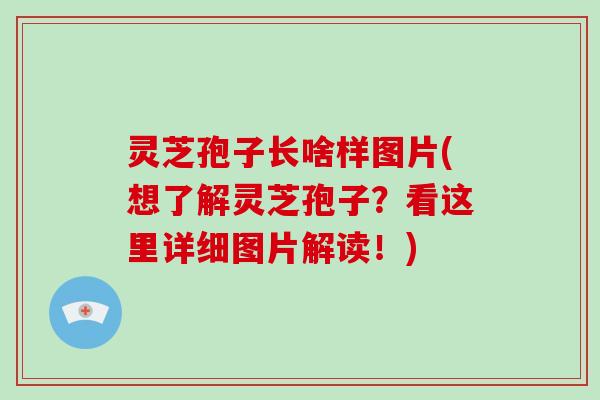 灵芝孢子长啥样图片(想了解灵芝孢子?看这里详细图片解读!)