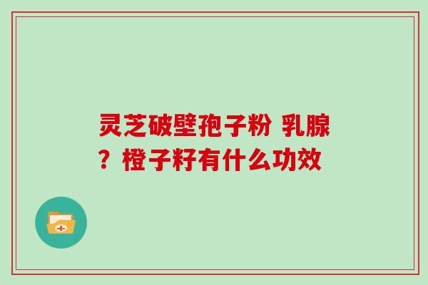 灵芝破壁孢子粉 乳腺?橙子籽有什么功效