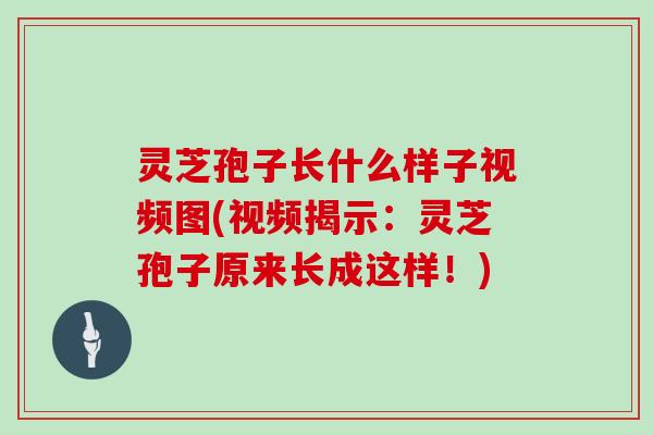 灵芝孢子长什么样子视频图(视频揭示:灵芝孢子原来长成这样!)