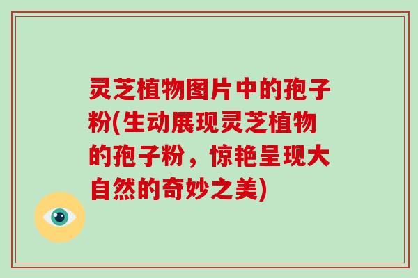 灵芝植物图片中的孢子粉(生动展现灵芝植物的孢子粉,惊艳呈现大自然的奇妙之美)