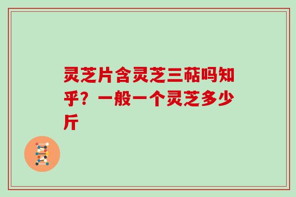 灵芝片含灵芝三萜吗知乎?一般一个灵芝多少斤