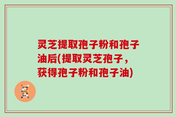 灵芝提取孢子粉和孢子油后(提取灵芝孢子，获得孢子粉和孢子油)