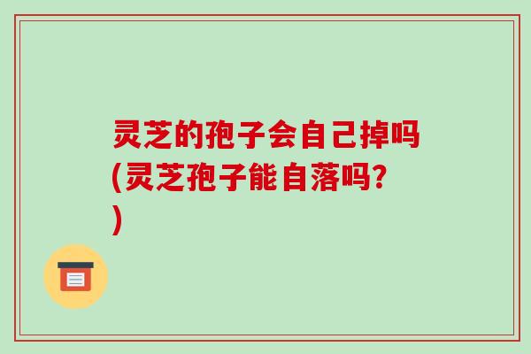 灵芝的孢子会自己掉吗(灵芝孢子能自落吗?)
