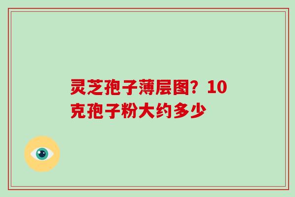 灵芝孢子薄层图？10克孢子粉大约多少