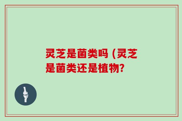 灵芝是菌类吗 (灵芝是菌类还是植物?