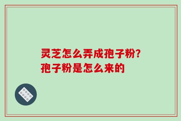 灵芝怎么弄成孢子粉?孢子粉是怎么来的