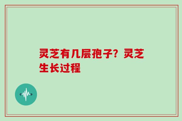 灵芝有几层孢子?灵芝生长过程