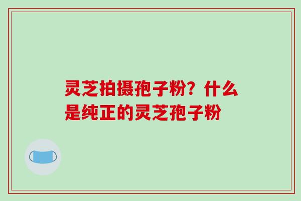 灵芝拍摄孢子粉?什么是纯正的灵芝孢子粉