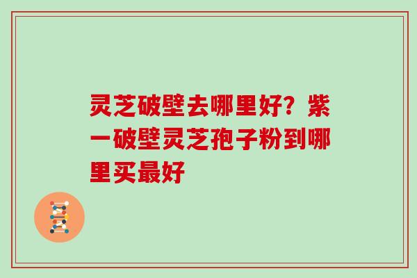 灵芝破壁去哪里好？紫一破壁灵芝孢子粉到哪里买最好