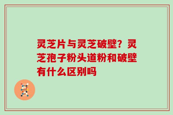 灵芝片与灵芝破壁?灵芝孢子粉头道粉和破壁有什么区别吗