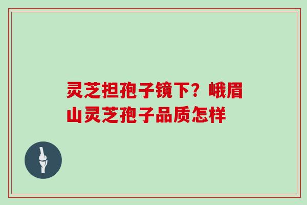 灵芝担孢子镜下?峨眉山灵芝孢子品质怎样
