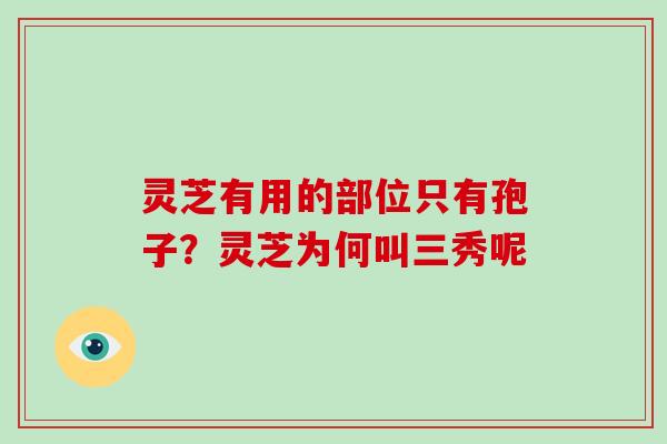 灵芝有用的部位只有孢子?灵芝为何叫三秀呢
