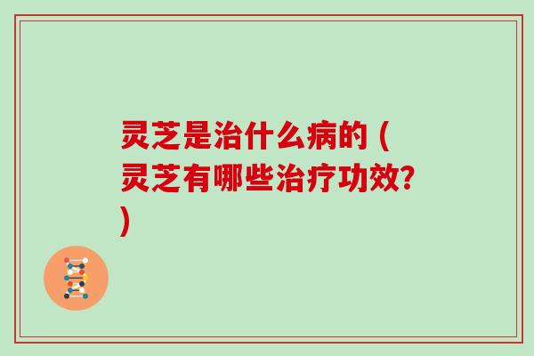 灵芝是治什么病的 (灵芝有哪些治疗功效?)