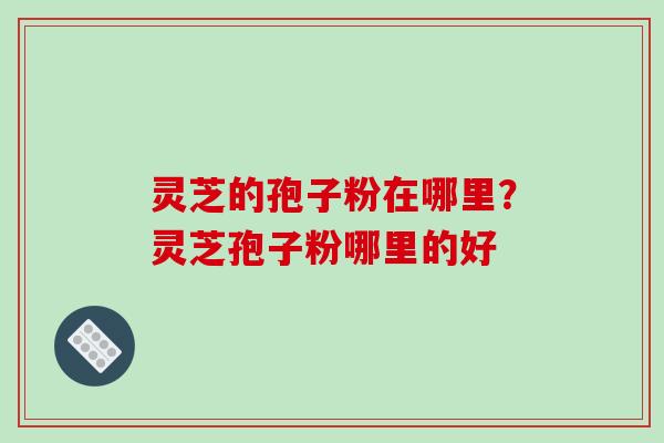 灵芝的孢子粉在哪里?灵芝孢子粉哪里的好