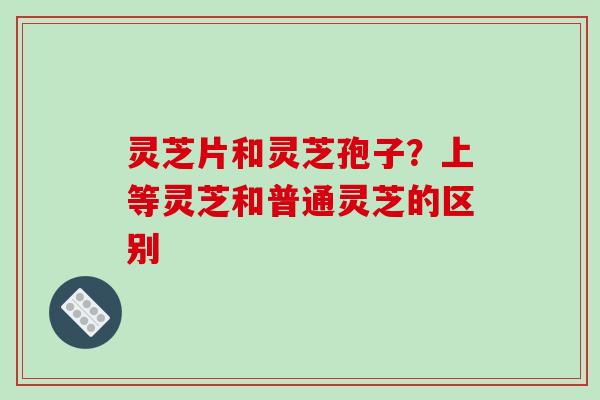 灵芝片和灵芝孢子？上等灵芝和普通灵芝的区别