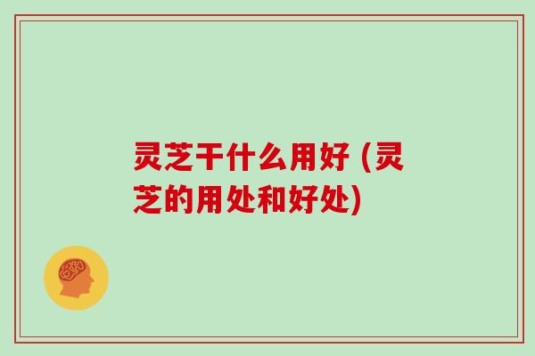 灵芝干什么用好 (灵芝的用处和好处)
