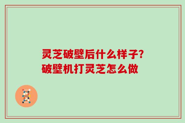 灵芝破壁后什么样子?破壁机打灵芝怎么做