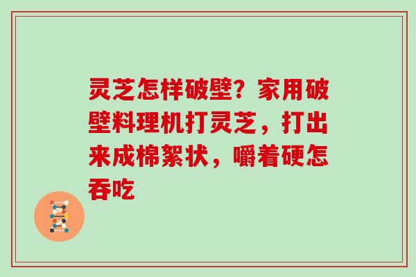 灵芝怎样破壁?家用破壁料理机打灵芝,打出来成棉絮状,嚼着硬怎吞吃