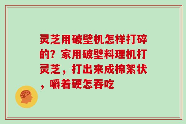 灵芝用破壁机怎样打碎的?家用破壁料理机打灵芝,打出来成棉絮状,嚼着硬怎吞吃