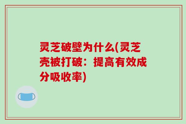 灵芝破壁为什么(灵芝壳被打破:提高有效成分吸收率)
