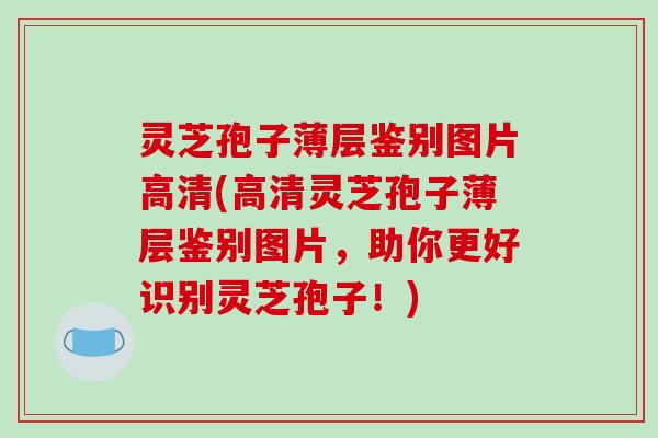 灵芝孢子薄层鉴别图片高清(高清灵芝孢子薄层鉴别图片，助你更好识别灵芝孢子！)